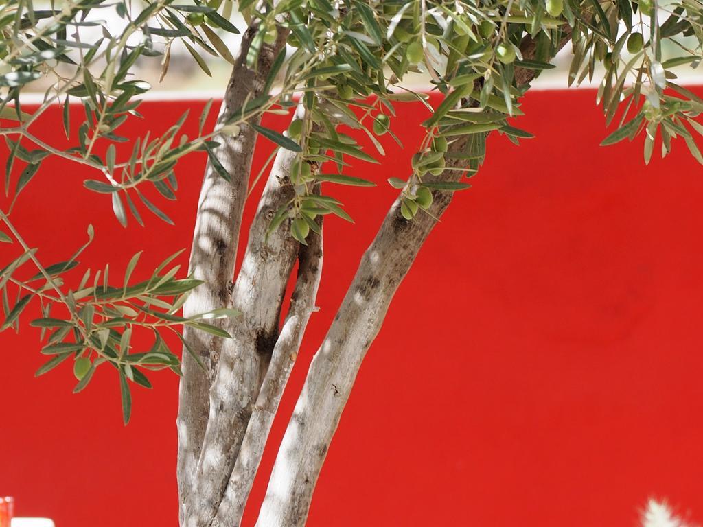 Dar Tifrouine Hotell Lalla Takerkoust Exteriör bild